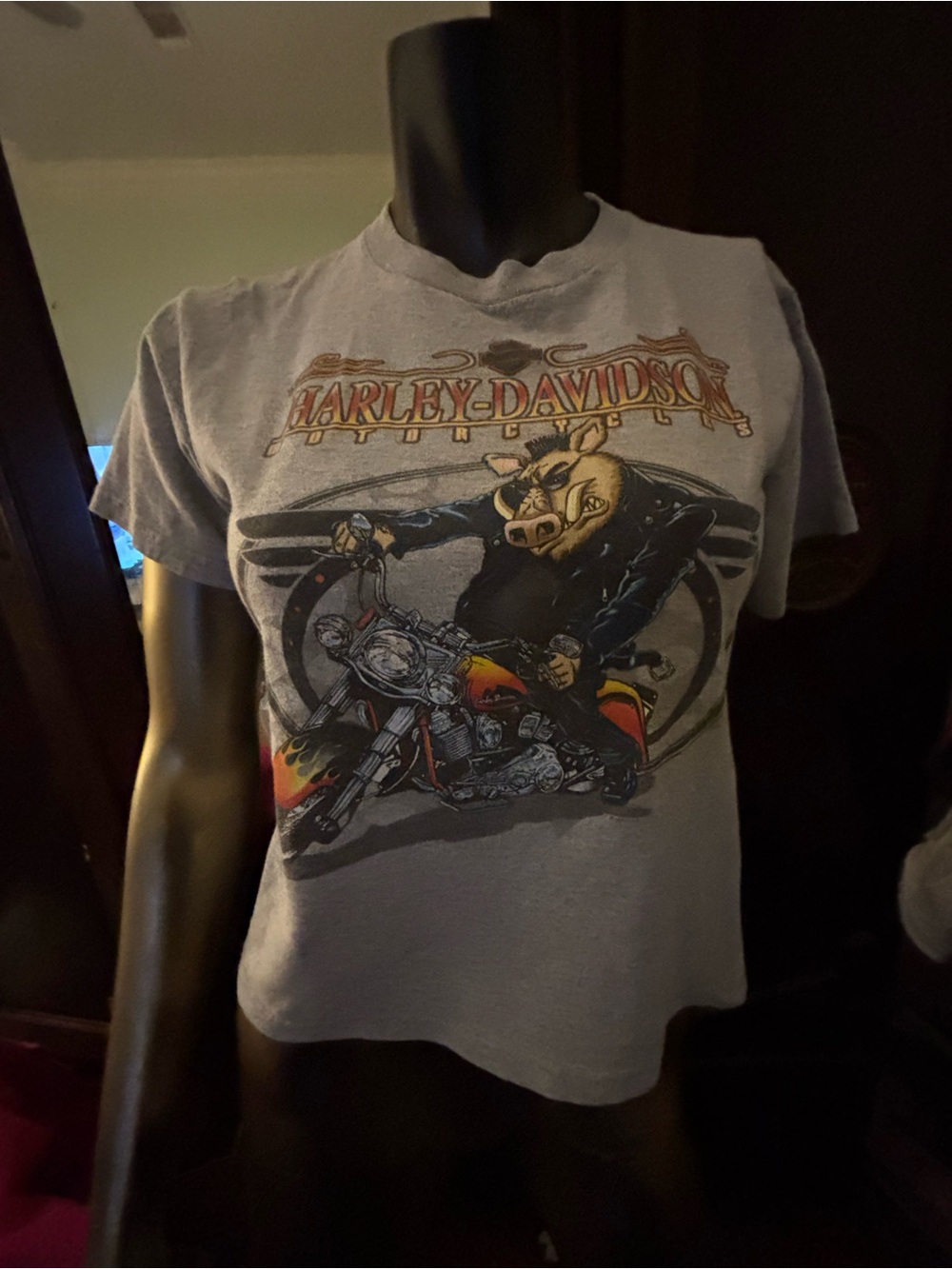 Harley-Davidson womans Graphic Motorcycle T-Shirt